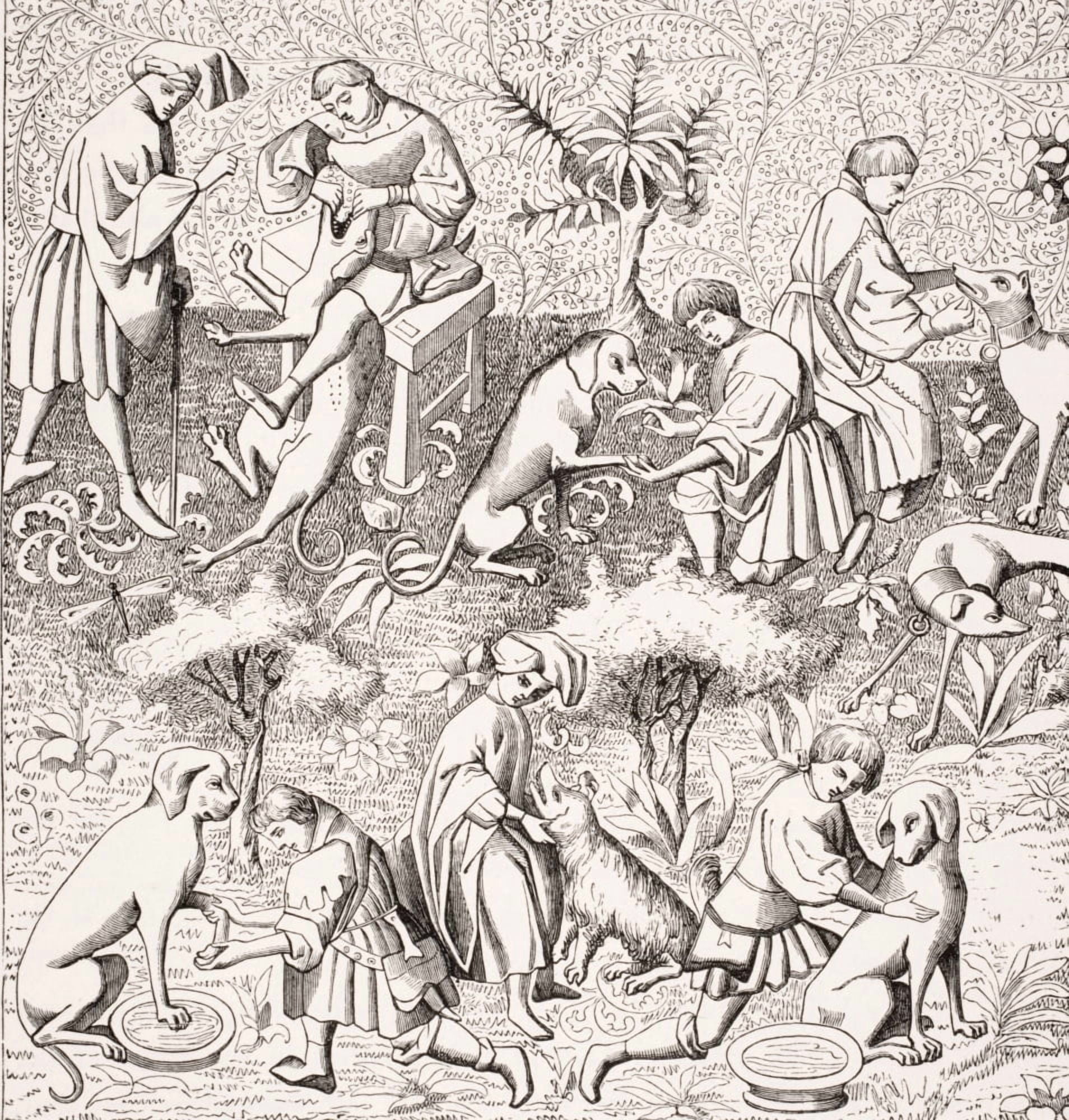 Diseases Of Dogs And Their Cures 19Th Century Reproduction Of Miniature In 14Th Century Manuscript Of Phoebus Canvas Art - Ken Welsh Design Pics (26 x 28)
