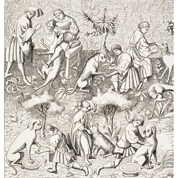 Diseases Of Dogs And Their Cures. 19Th Century Reproduction Of Miniature In 14Th Century Manuscript Of Phoebus