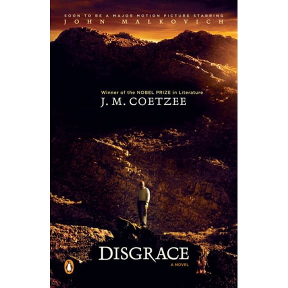 Pre-Owned Disgrace: A Novel (Paperback) 0143115286 9780143115281