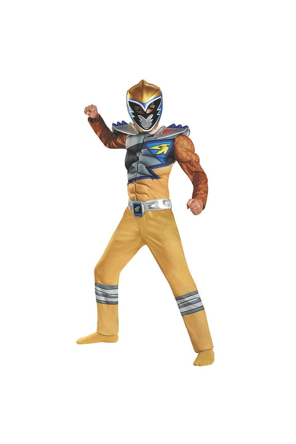 Toddler Boys' Deluxe Power Rangers Dino Charge Gold Ranger Muscle Costume - 4-6
