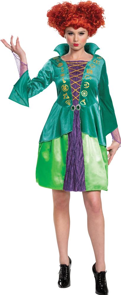 Disguise Womens Disney Hocus Pocus Winifred Sanderson Costume - Small - image 1 of 2