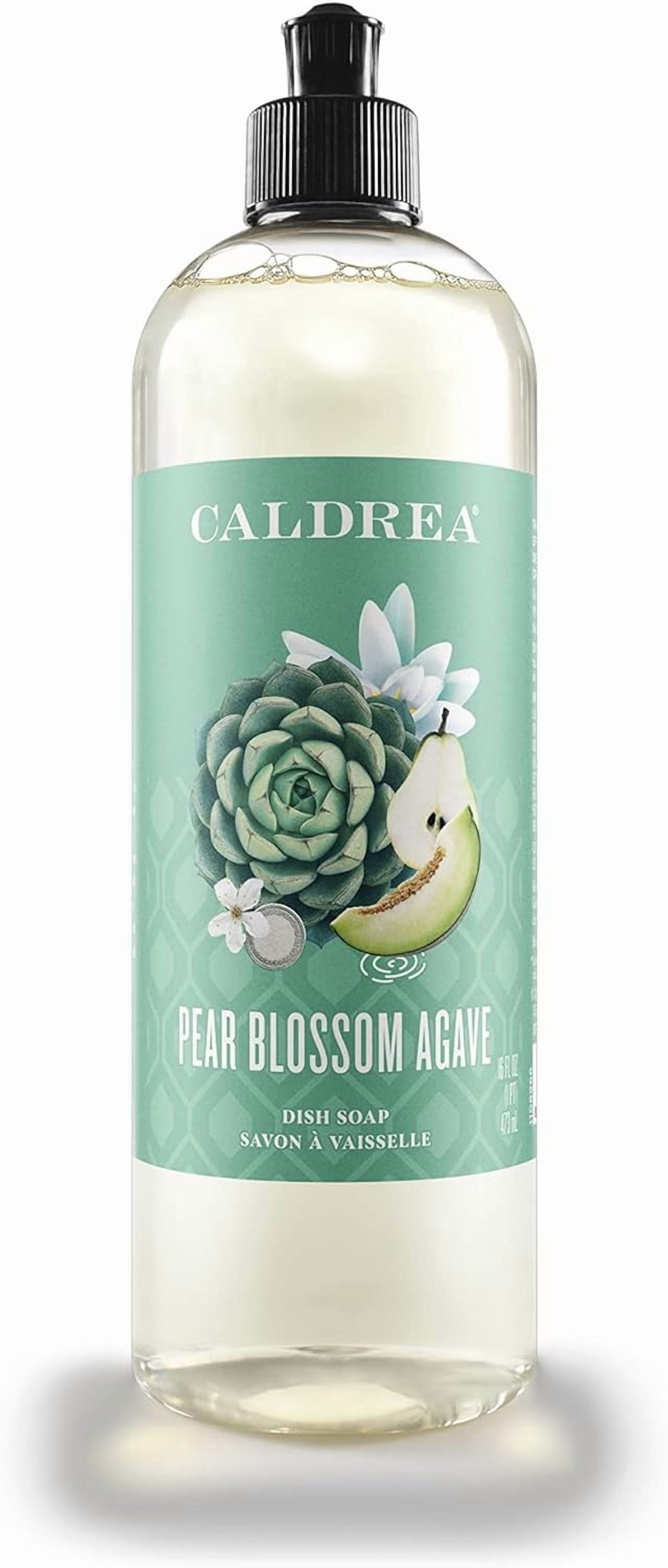 Dish Soap, Biodegradable Dishwashing Liquid made with Soap Bark and Aloe Vera, Pear Blossom Agave Scent, 16 oz