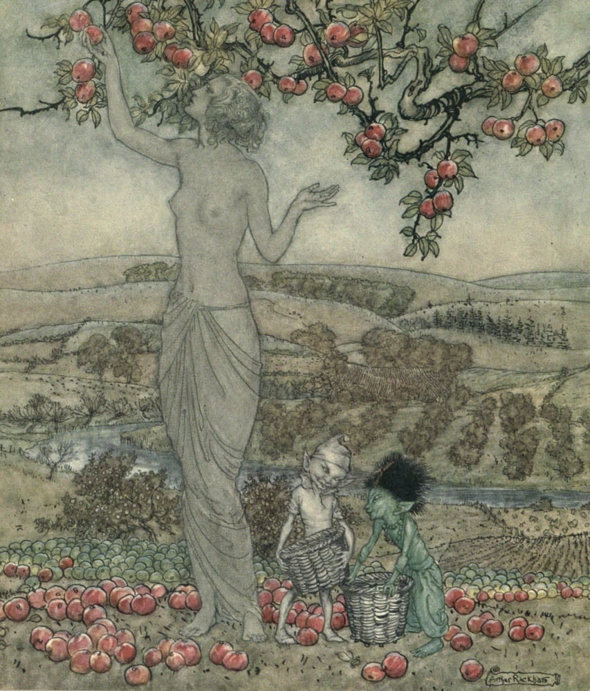 Dish of Apples 1921 Pomona Canvas Art - A Rackham (24 x 36)