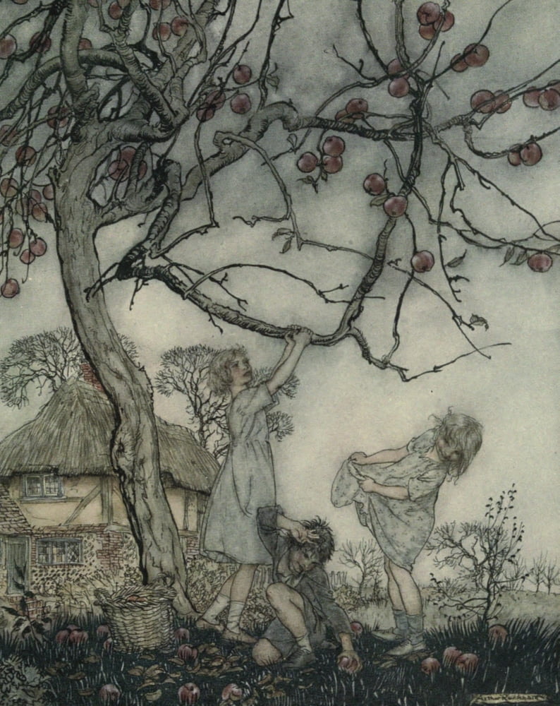 Dish of Apples 1921 Summer throne Canvas Art - A Rackham (24 x 36)
