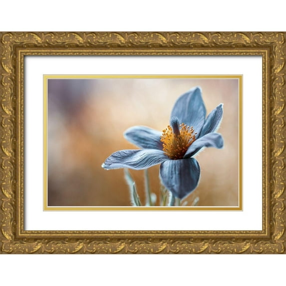 Disher 14x11 Gold Ornate Wood Framed with Double Matting Museum Art Print Titled - Pasque