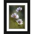 thumbnail image 1 of Disher, Mandy 11x14 Black Ornate Wood Framed with Double Matting Museum Art Print Titled - *Cosmos, 1 of 4