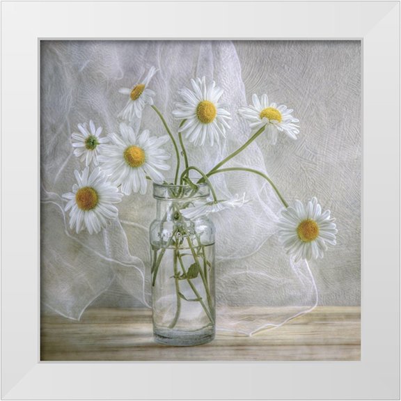 Disher, Mandy 12x12 White Modern Wood Framed Museum Art Print Titled - Daisies