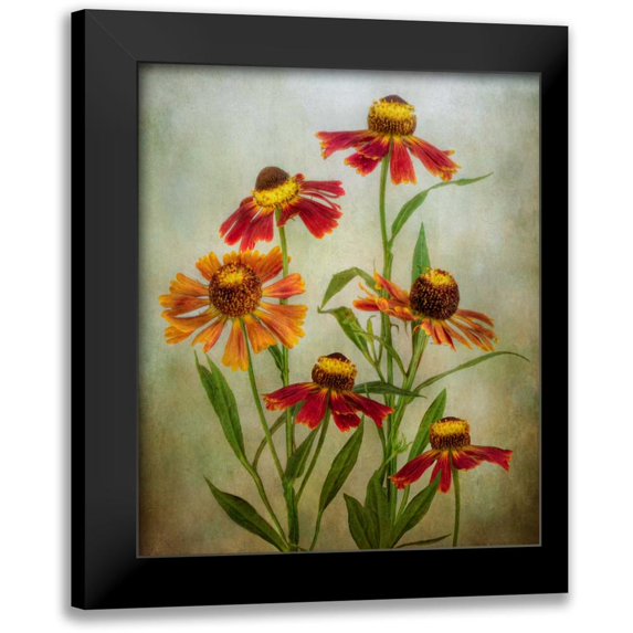 Disher, Mandy 12x14 Black Modern Framed Museum Art Print Titled - Cabaret