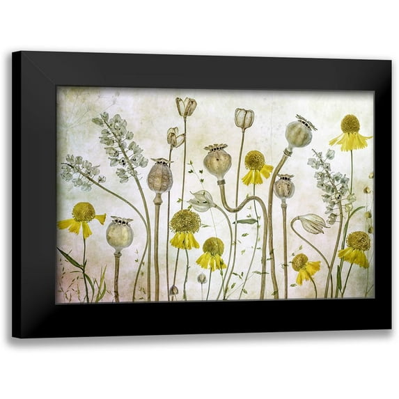 Disher, Mandy 14x11 Black Modern Framed Museum Art Print Titled - Poppies And Helenium