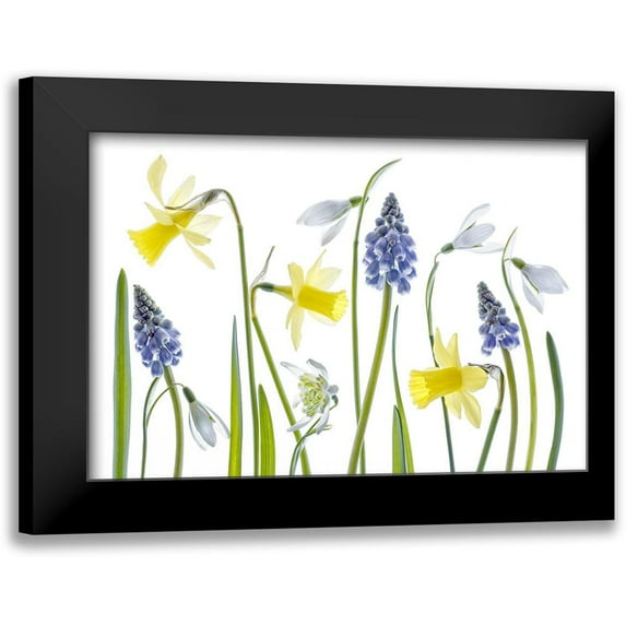 Disher, Mandy 14x11 Black Modern Framed Museum Art Print Titled - Spring
