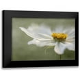 thumbnail image 1 of Disher, Mandy 14x11 Black Modern Framed Museum Art Print Titled - Whisper, 1 of 5