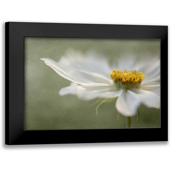 Disher, Mandy 14x11 Black Modern Framed Museum Art Print Titled - Whisper