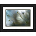 thumbnail image 1 of Disher, Mandy 14x11 Black Ornate Wood Framed with Double Matting Museum Art Print Titled - Jasmine, 1 of 4