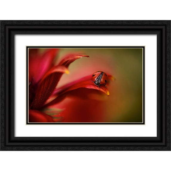 Disher, Mandy 14x11 Black Ornate Wood Framed with Double Matting Museum Art Print Titled - Simply Red