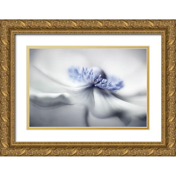 Disher, Mandy 18x13 Gold Ornate Wood Framed with Double Matting Museum Art Print Titled - Anemone Spirit