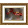 thumbnail image 1 of Disher, Mandy 18x13 Gold Ornate Wood Framed with Double Matting Museum Art Print Titled - Helenium Dance, 1 of 4