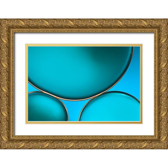 Disher, Mandy 18x13 Gold Ornate Wood Framed with Double Matting Museum Art Print Titled - Oil And Water