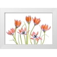 thumbnail image 1 of Disher, Mandy 18x13 White Modern Wood Framed Museum Art Print Titled - Apricot Tulips, 1 of 4