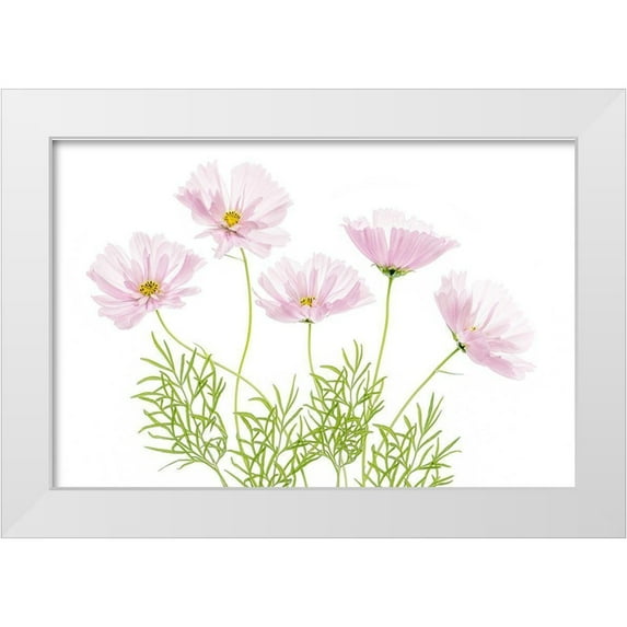 Disher, Mandy 18x13 White Modern Wood Framed Museum Art Print Titled - Cosmos Cupcake