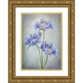 thumbnail image 1 of Disher, Mandy 18x24 Gold Ornate Wood Framed with Double Matting Museum Art Print Titled - Scabiosa, 1 of 4