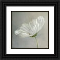 thumbnail image 1 of Disher, Mandy 20x20 Black Ornate Wood Framed with Double Matting Museum Art Print Titled - Daisy Detail, 1 of 4