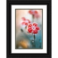 thumbnail image 1 of Disher, Mandy 23x32 Black Ornate Wood Framed with Double Matting Museum Art Print Titled - Dianthus, 1 of 4