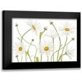 thumbnail image 1 of Disher, Mandy 24x17 Black Modern Framed Museum Art Print Titled - Ox Eye Daisies, 1 of 5