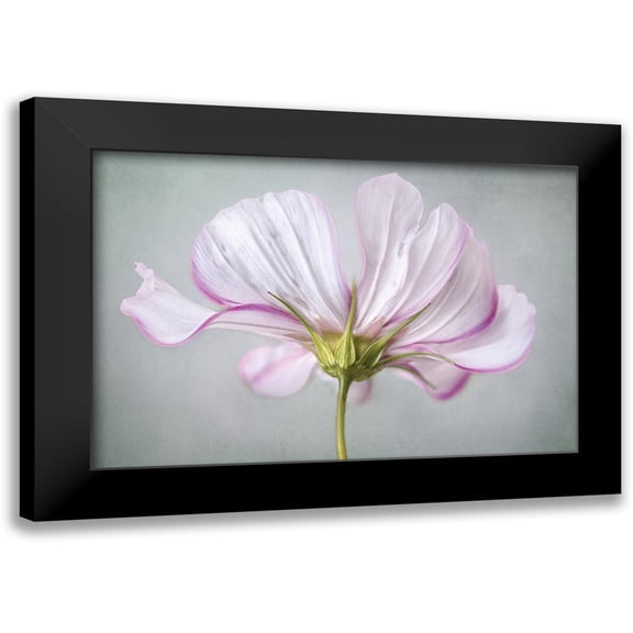 Disher, Mandy 24x17 Black Modern Framed Museum Art Print Titled - Textured Floral