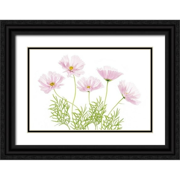 Disher, Mandy 24x17 Black Ornate Wood Framed with Double Matting Museum Art Print Titled - Cosmos Cupcake