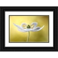 thumbnail image 1 of Disher, Mandy 24x17 Black Ornate Wood Framed with Double Matting Museum Art Print Titled - Wood Anemone, 1 of 4