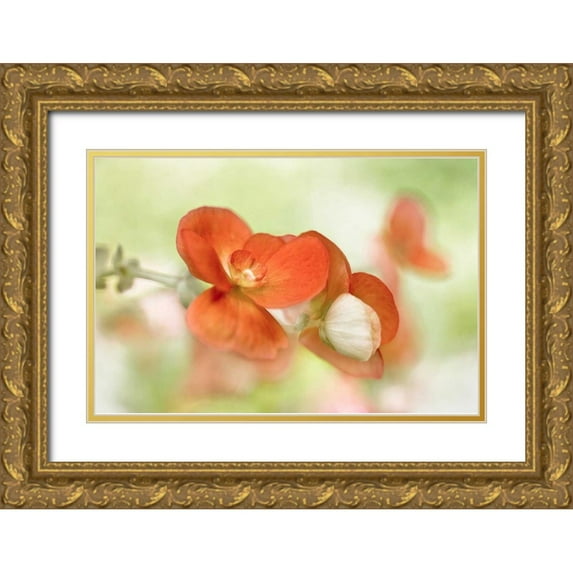 Disher, Mandy 24x17 Gold Ornate Wood Framed with Double Matting Museum Art Print Titled - Summer Glow