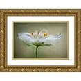 thumbnail image 1 of Disher, Mandy 24x17 Gold Ornate Wood Framed with Double Matting Museum Art Print Titled - Summer Swirl, 1 of 4