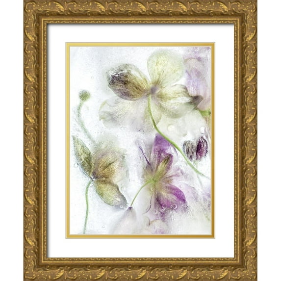 Disher, Mandy 25x32 Gold Ornate Wood Framed with Double Matting Museum Art Print Titled - Frozen Floral IV
