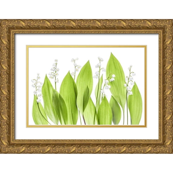Disher, Mandy 32x23 Gold Ornate Wood Framed with Double Matting Museum Art Print Titled - Lily Of The Valley
