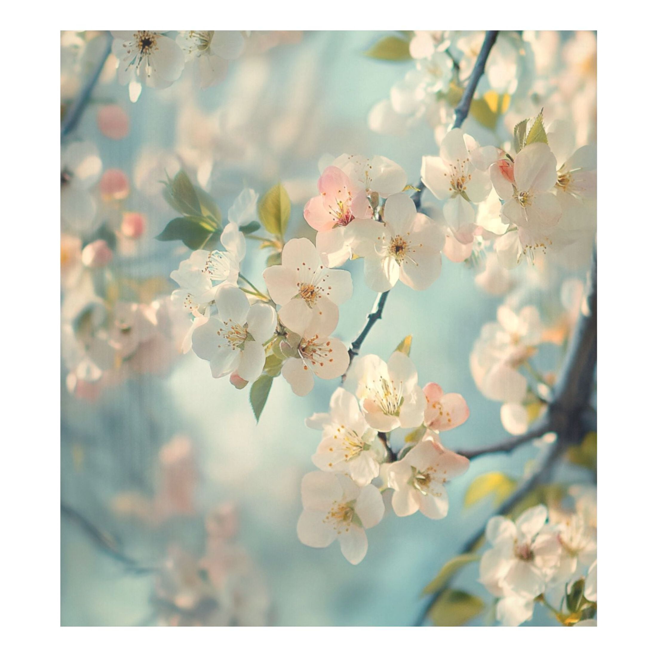 Dishwasher Magnetic Sticker 23x26 Inch Refrigerator Magnetic Sticker Washing Machine Magnetic Sticker Kitchen Panel Magnetic Sticker Home Decor Beautiful Cherry Blossom