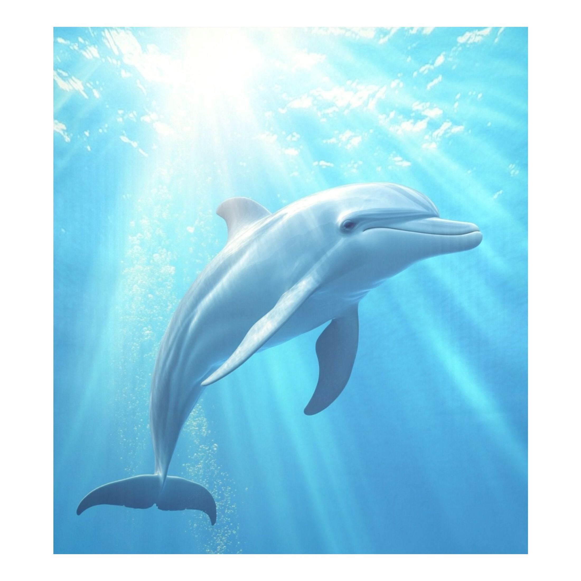 Dishwasher Magnetic Sticker 23x26 Inch Refrigerator Magnetic Sticker Washing Machine Magnetic Sticker Kitchen Panel Magnetic Sticker Home Decor Blue Dolphin Pattern