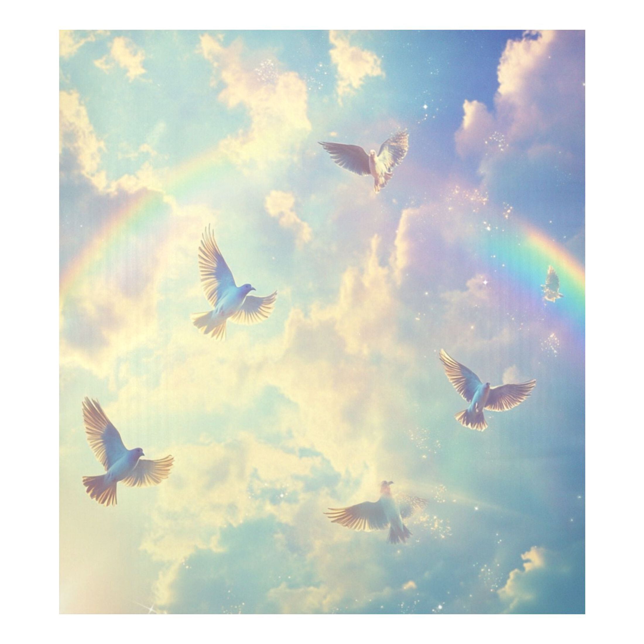 Dishwasher Magnetic Sticker 23x26 Inch Refrigerator Magnetic Sticker Washing Machine Magnetic Sticker Kitchen Panel Magnetic Sticker Home Decor Sky Rainbow Pigeon