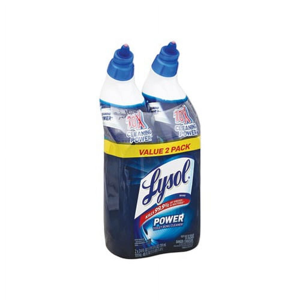 Disinfectant Toilet Bowl Cleaner Wintergreen, 24 oz Bottle, 2/Pack