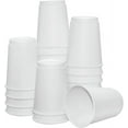 thumbnail image 1 of Diska Nulife 12 oz Double Wall White Disposable Paper Cups, 500 Count, 1 of 5