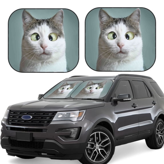 Disketp 2 Piece Funny Cat Pattern Windshield Sunshades,Folding Windshield Sun Shade For Car Suv Trucks Sedan,Blocks Uv Rays Sun Visor Protector-Small