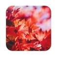 thumbnail image 1 of Disketp Autumn Maple Leaves Funny Coasters,4 Pcs Leather Coasters With Holder, Perfect Housewarming Hostess Gifts,Protect Furniture From Water Marks Scratch, 1 of 9