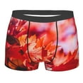 thumbnail image 1 of Disketp Autumn Maple Leaves Men'S Boxer Briefs,Soft And Breathable Cotton Underwear With Comfortflex Waistband, 1 of 9
