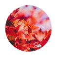 thumbnail image 1 of Disketp Autumn Maple Leaves Small Mouse Pad 7.9x7.9 Inches,Washable Round Mousepad For Office Laptop Computer,Non-Slip Rubber Base Mouse Pads For Wireless Mouse, 1 of 9