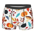 thumbnail image 1 of Disketp Autumn Pumpkins Fall Leaves Men'S Boxer Briefs,Soft And Breathable Cotton Underwear With Comfortflex Waistband, 1 of 9