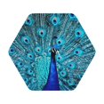 thumbnail image 1 of Disketp Beautiful Blue Peacock Funny Coasters,6 Pcs Leather Coasters with Holder, Perfect Housewarming Hostess Gifts,Protect Furniture from Water Marks Scratch and Damage, 1 of 7