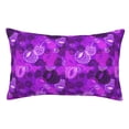 thumbnail image 1 of Disketp Berry Raspberry Throw Pillow Case Cushion Covers,Cushion for Bedroom,Couch,Home-14"x20", 1 of 6