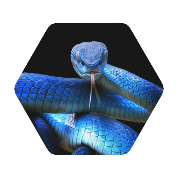 Disketp Blue Viper Snake Funny Coasters,6 Pcs Leather Coasters With Holder, Perfect Housewarming Hostess Gifts,Protect Furniture From Water Marks Scratch And Damage
