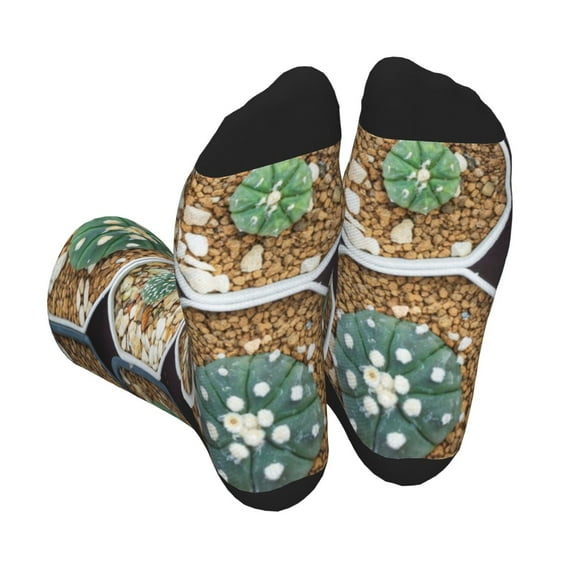Disketp Cactus Garden Unisex Mid-Calf Socks Lightweight Breathable Ventilation Ankle Socks