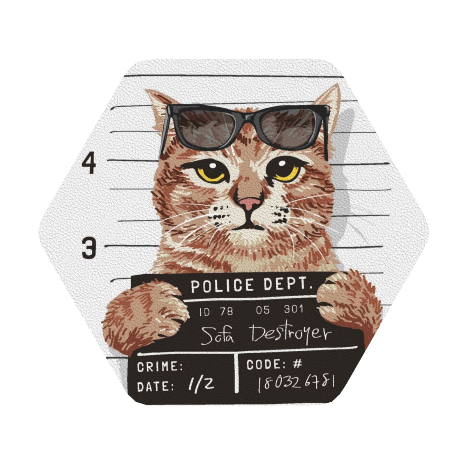 Disketp Cat Holding Mugshot Sign Funny Coasters,4 Pcs Leather Coasters ...