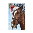 thumbnail image 1 of Disketp Christmas Horse Waffle Weave Kitchen Dish Cloth,Super Absorbent Kitchen Dish Towels 16*26 Inches for Dish Rags Washing Dishes, Drying Dishes, 1 of 1